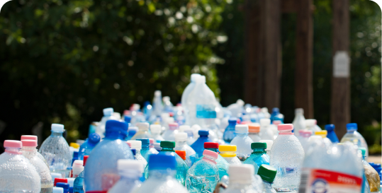 Plastics and Mental Health: Investigating Endocrine Disruption and Well-being